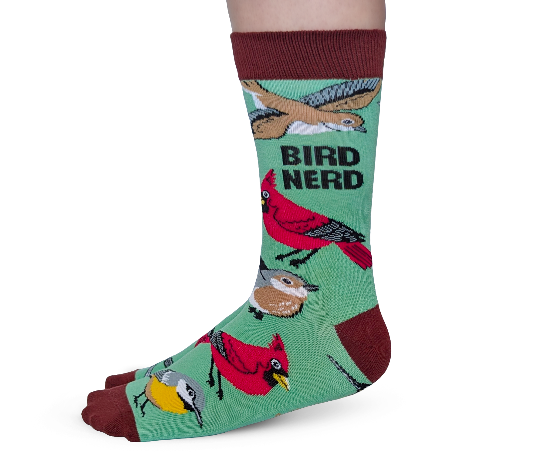 Bird Nerd Socks - S/M