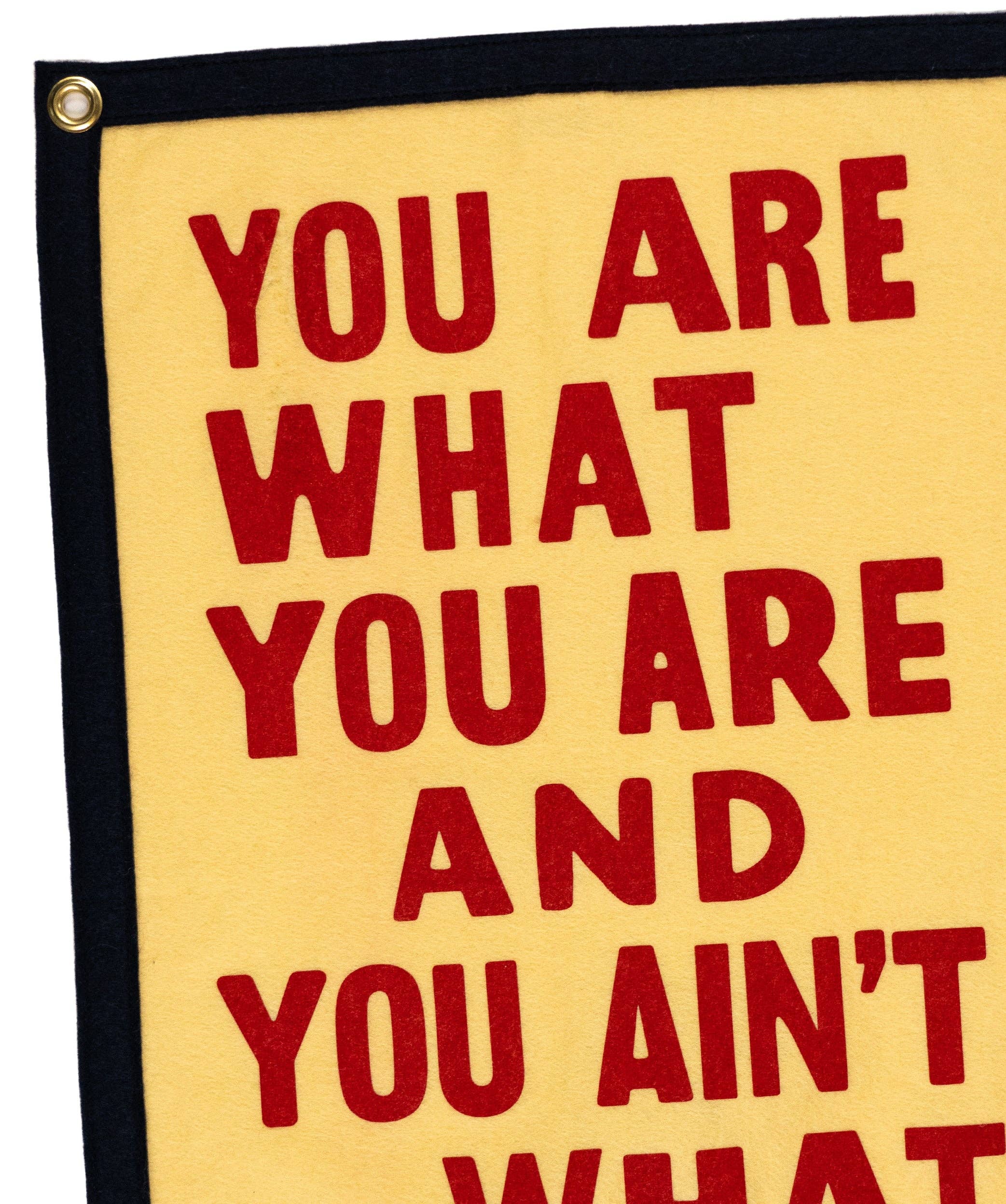 You Are What You Are Camp Flag • John Prine