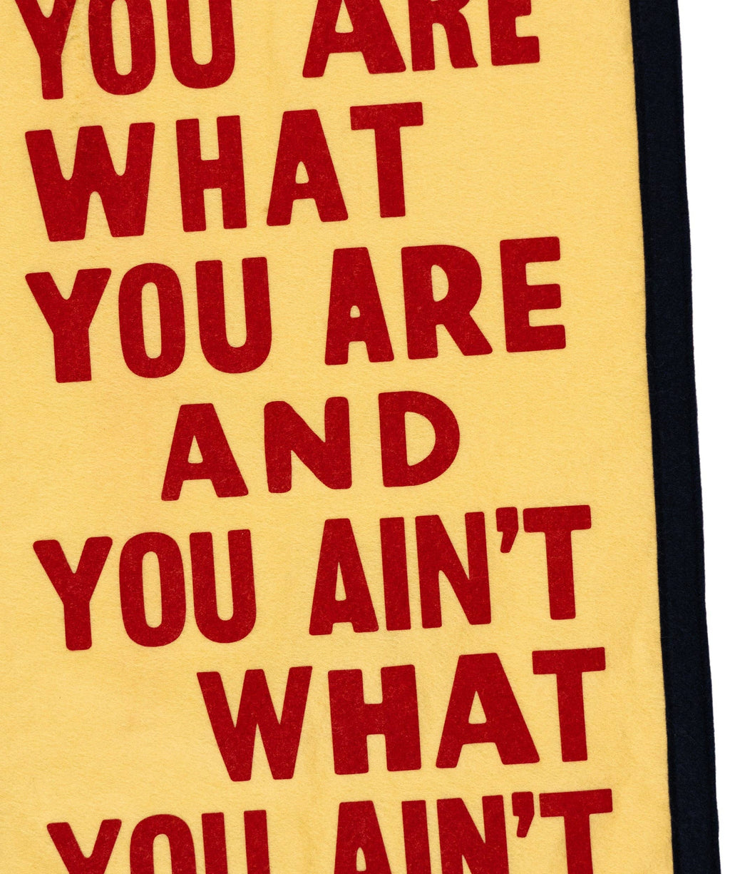 You Are What You Are Camp Flag • John Prine