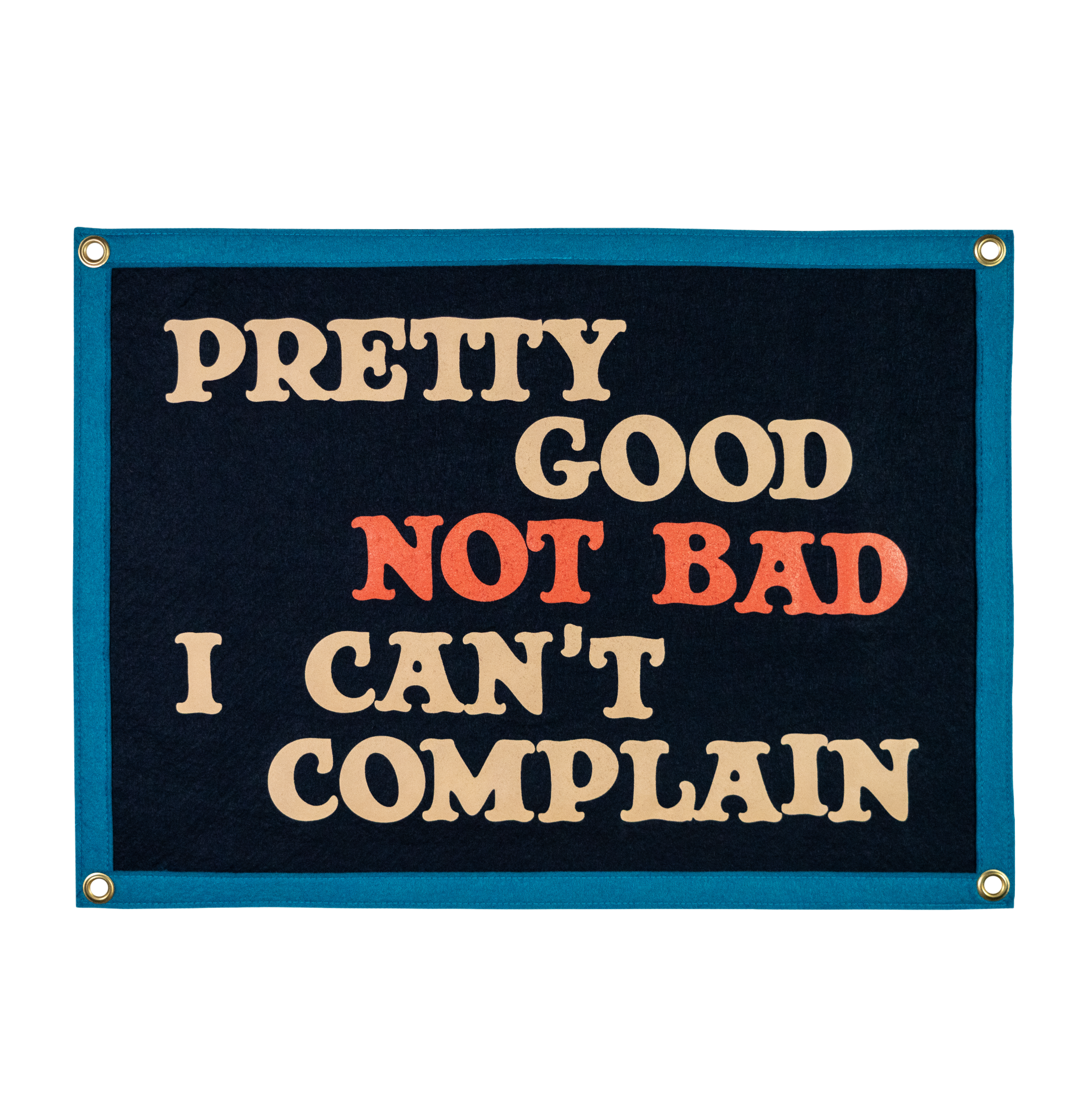Pretty Good Camp Flag • John Prine