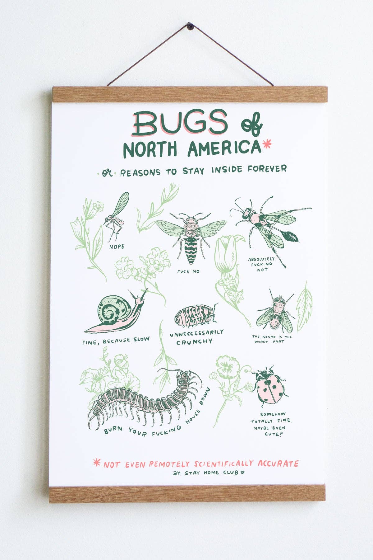 Bugs of North America Art Print - 8x10