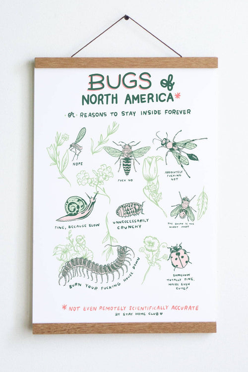 Bugs of North America Art Print - 8x10