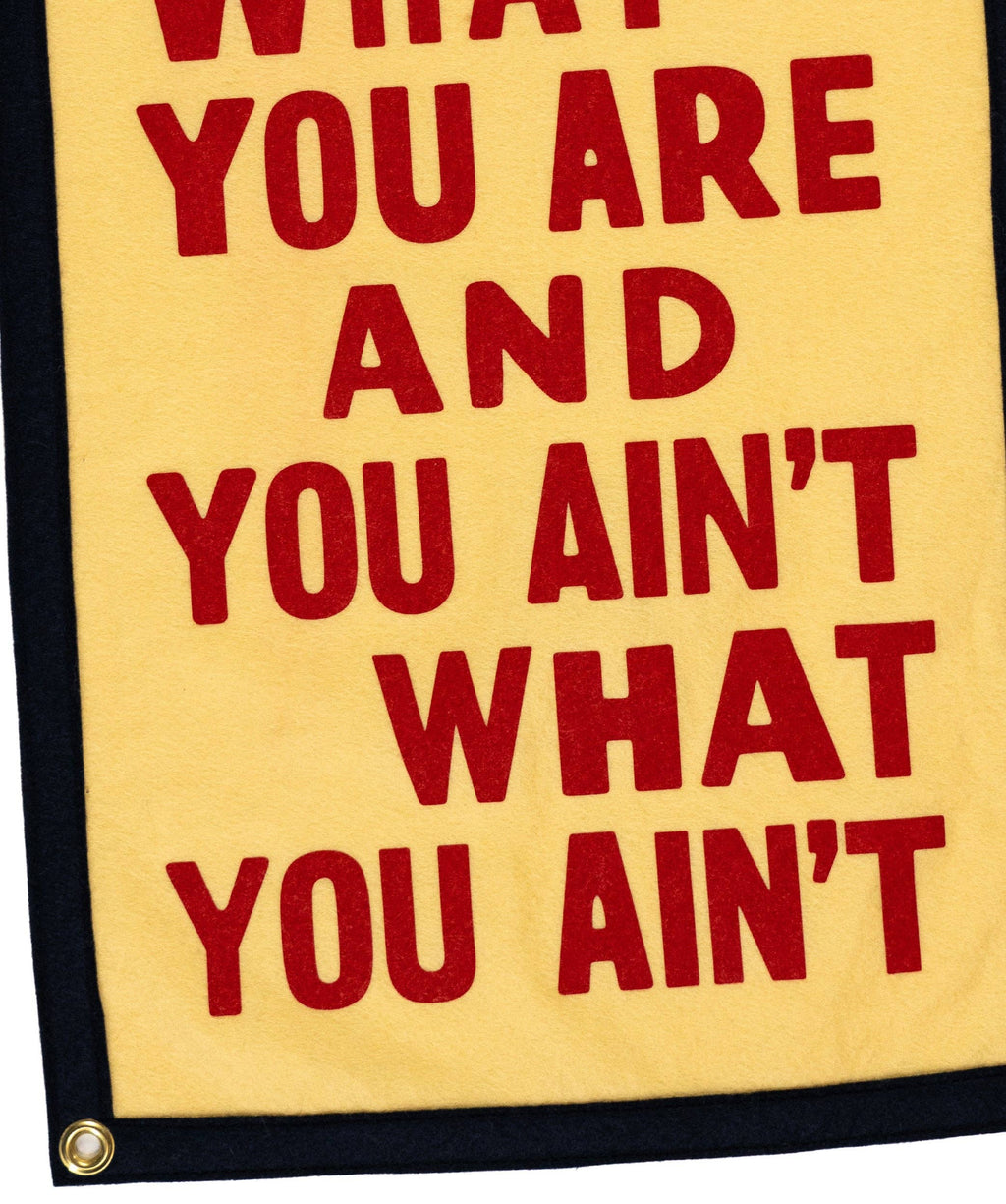 You Are What You Are Camp Flag • John Prine