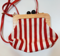 Striped Shoulder Bag