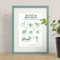Bugs of North America Art Print - 8x10