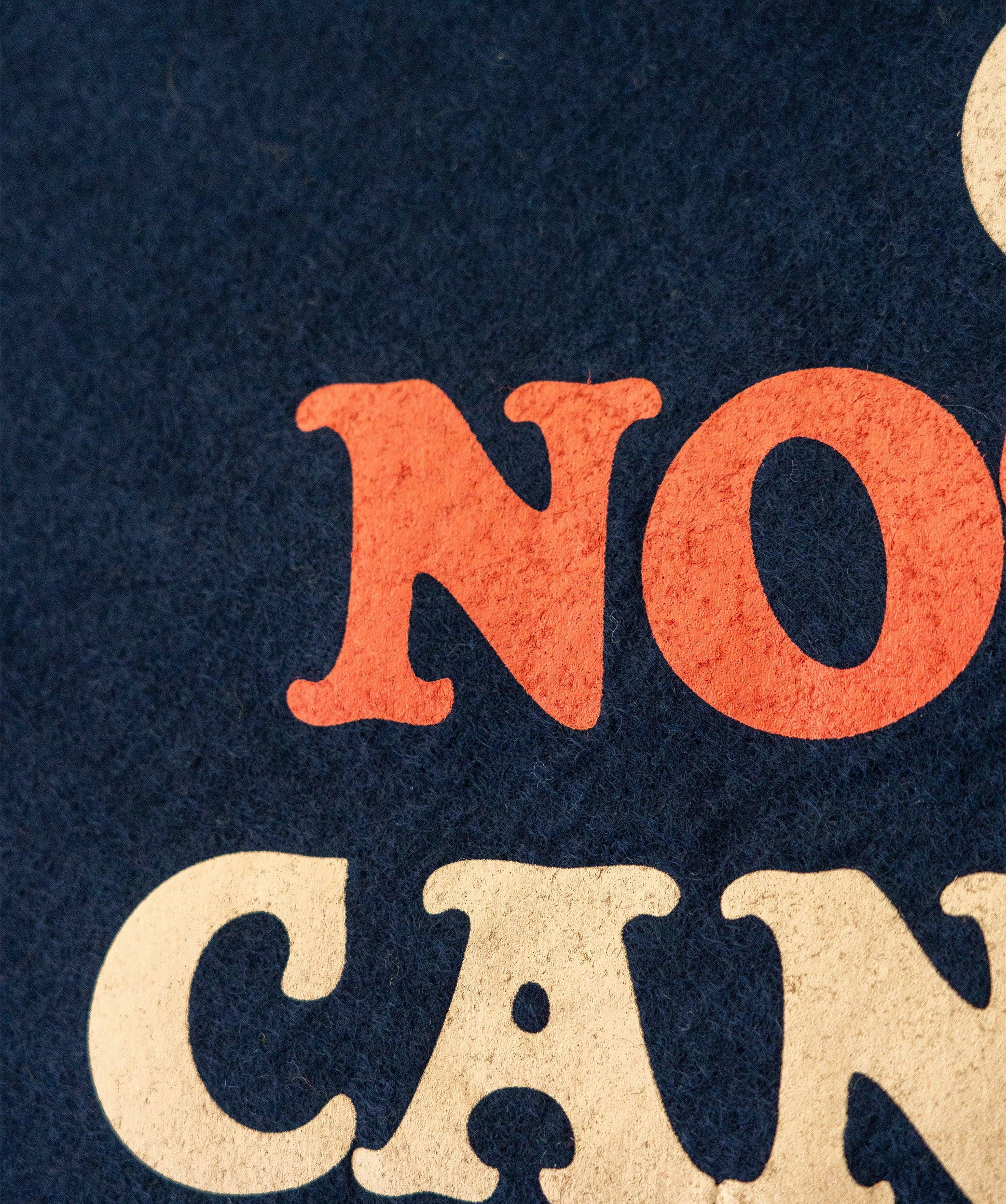 Pretty Good Camp Flag • John Prine