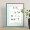 Bugs of North America Print - 12x18