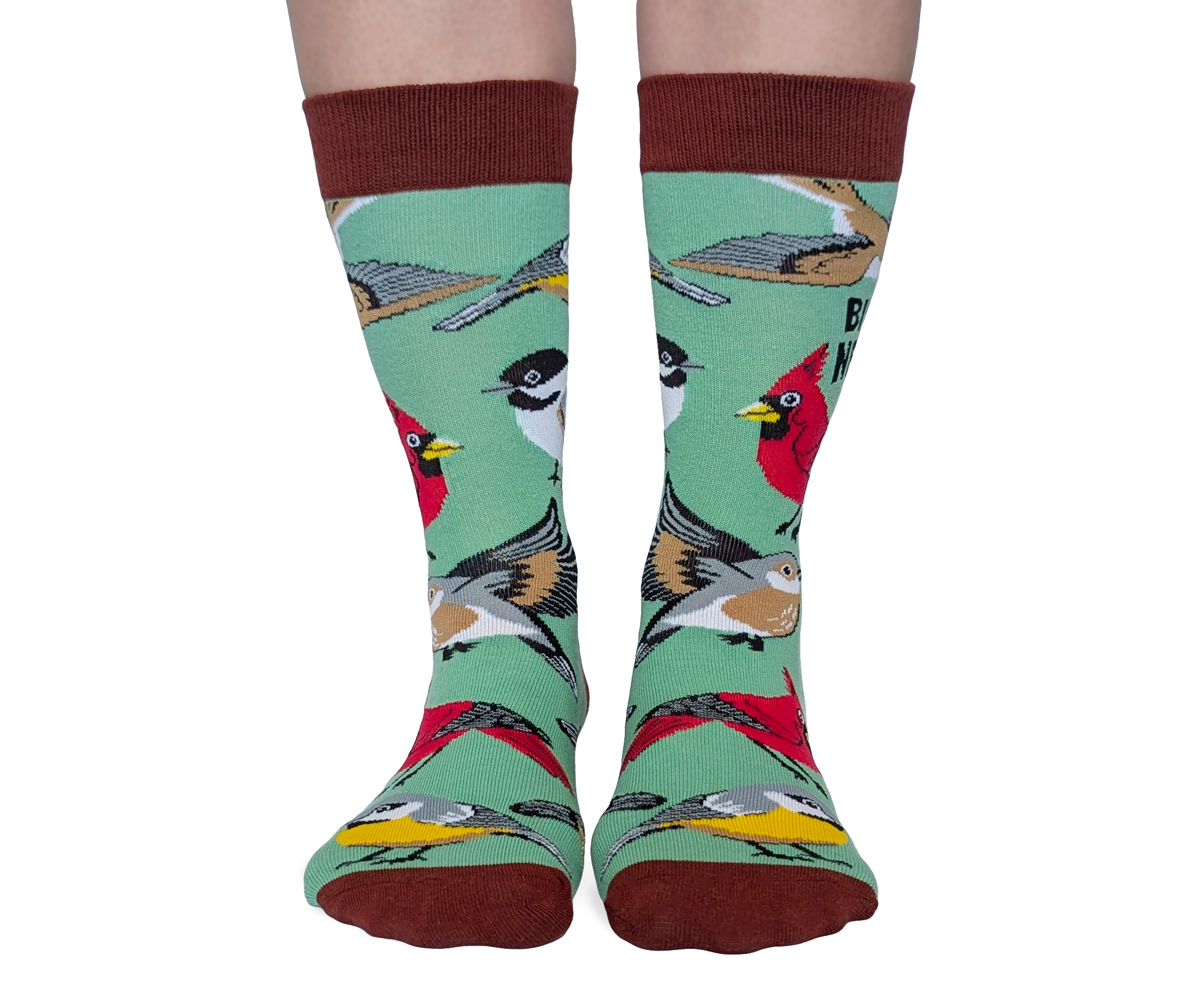 Bird Nerd Socks - S/M