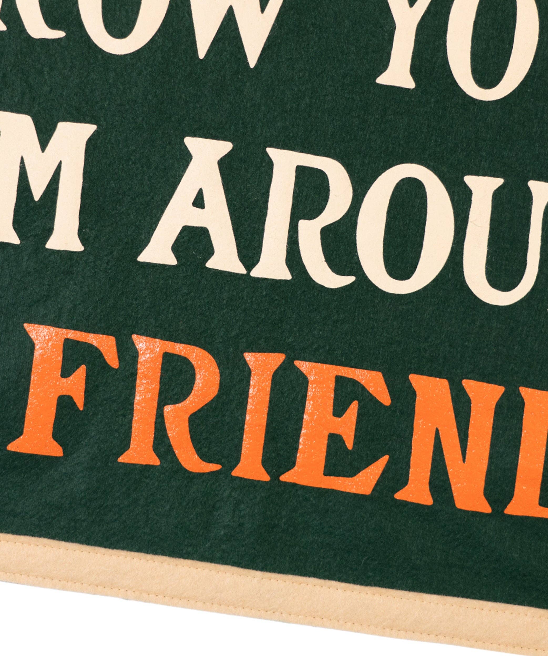 Throw Your Arm Around A Friend Camp Flag • Billy Strings
