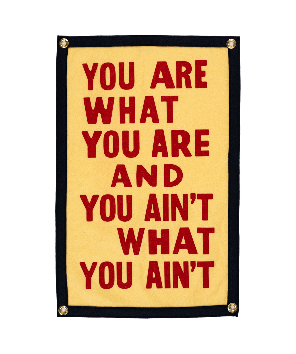 You Are What You Are Camp Flag • John Prine