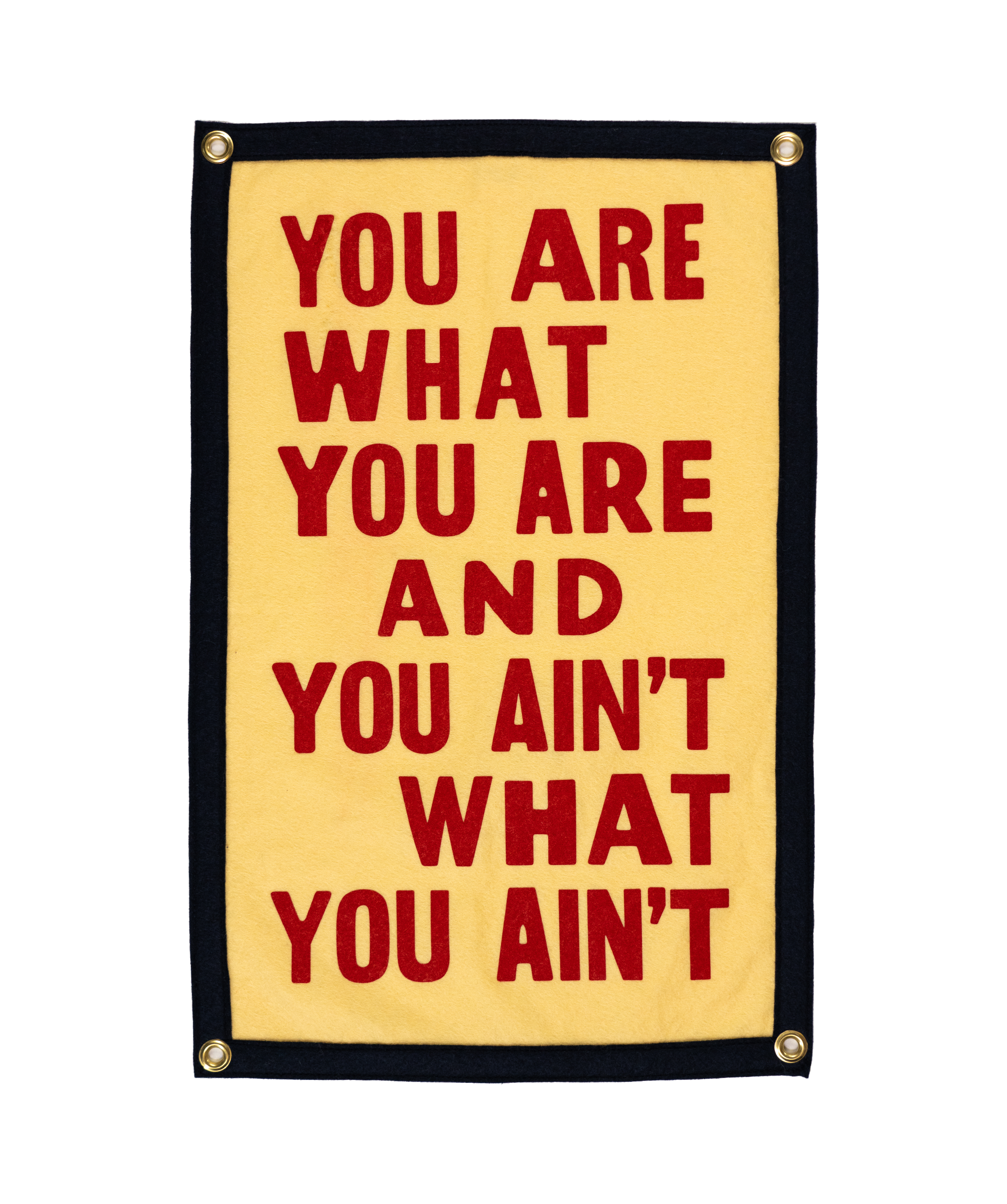 You Are What You Are Camp Flag • John Prine